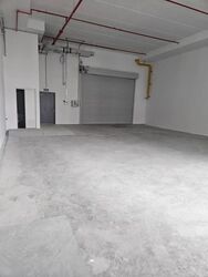 Ct Foodnex (D25), Factory #613756411